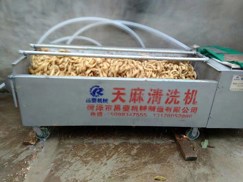 天麻清洗機(jī)